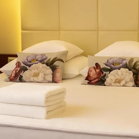 卡米尼兹卡酒店 3*