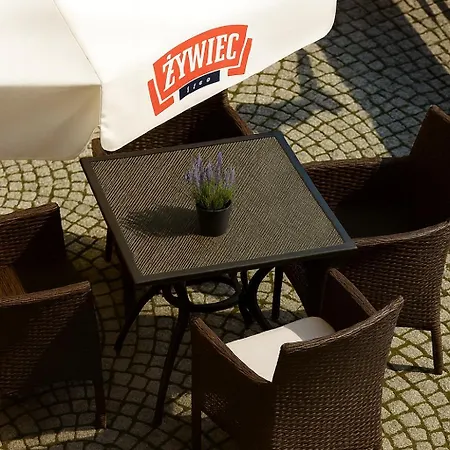 卡米尼兹卡酒店 酒店 莱格尼察