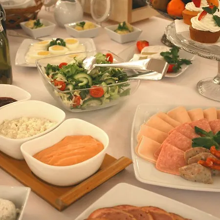 卡米尼兹卡酒店 酒店 莱格尼察