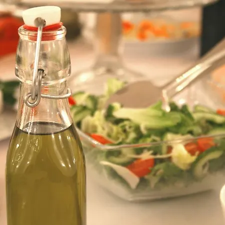 卡米尼兹卡酒店 3* 莱格尼察